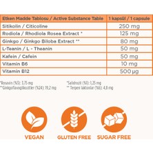 Frime Focus, Enerji, Sitikolin, Rhodiola, Ginkgo Biloba, B12, L Theanine
