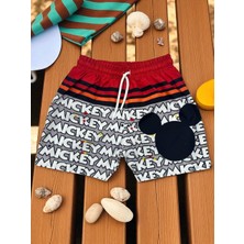 Erkek Çocuk Karakter Baskılı Bağcıklı Içi Ağ Fileli Deniz ve Havuz Şortu