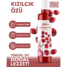 Fethiyeden Gelsin Doğal Ve Katkısız Organik Kızılcık Özü 700gr