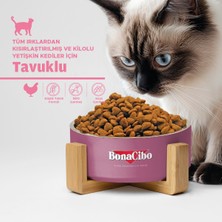 Adult Cat Kısırlaştırılmış Yetişkin Kedi Maması 15 Kg, Tüm Irklar Için, Doğal, Şeker Içermez