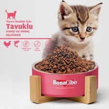 Kitten Tavuklu ve Balıklı Yavru Kedi Maması, 1,5 kg x 10 Adet, Tüm Irklar Için, Doğal, Şeker Içermez