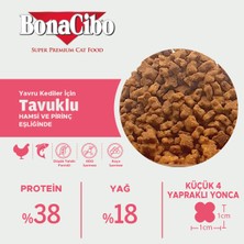 Kitten Tavuklu ve Balıklı Yavru Kedi Maması, 1,5 kg x 10 Adet, Tüm Irklar Için, Doğal, Şeker Içermez