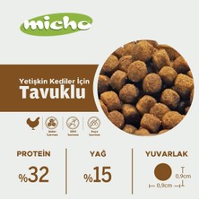 Adult Cat Tavuklu Yetişkin Kedi Maması 100 gr x 5 Adet, Tüm Irklar Için, Doğal, Şeker Içermez