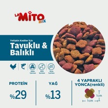 Adult  Cat Tavuklu  ve Balıklı Yetişkin Kedi Maması, 1 kg x 10 Adet, Tüm Irklar Için, Doğal, Şeker Içermez