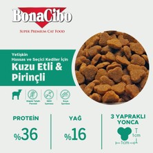 Adult Cat Kuzu ve Pirinçli Kedi Maması,  15 Kg, Tüm Irklar Için, Doğal, Şeker Içermez
