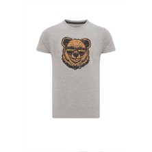 Routefield Tassilo Erkek Gri Tişört