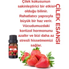 Harmoni Çilek Esansiyel Uçucu Koku 10ML Difüzör Esansı Buhurdanlık Yağı ve Oda Kokusu