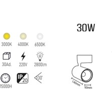 30W Siyah Kasa LED Ray Spot - Ilık Beyaz LED Aydınlatma