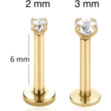 Heppii Tektaş Cerrahi Çelik Piercing Tragus Helix Kıkırdak Conch Gold Renk 6 mm (2 Adet)
