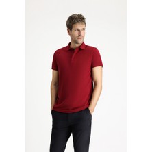 Polo Yaka Regular Fit Nakışlı Pamuklu Tişört