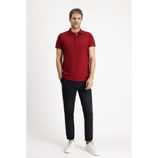 Polo Yaka Regular Fit Nakışlı Pamuklu Tişört