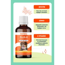 Biofeline Set-6 ( Salmon Oil/move+G/plus+B Dog )