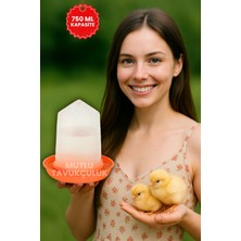 Mutlu Tavukçuluk Civciv Bıldırcın Başlangıç Suluk ve Yemlik Takım 750 ml