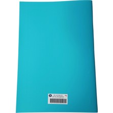 Fransız Seyes Defter A4 60 Yaprak Plastik Kapak