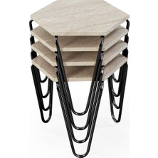 Veys Sehpa Veys Modern Zigon Sehpa Seti 4 Adet Siyah Metal Ayaklı Altıgen Tasarım