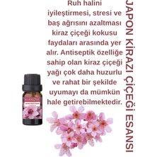 Harmoni Japon Kiraz Çiçeği Esansiyel Uçucu Koku 10ML Difüzör Esansı Buhurdanlık Yağı ve Oda Kokusu