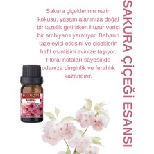 Harmoni Sakura Çiçeği Esansiyel Uçucu Koku 10ML Difüzör Esansı Buhurdanlık Yağı ve Oda Kokusu