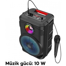 Hoco BS46 Büyük Boy Mikrofonlu Taşınabilir Şarjlı Hoparlör Bluetooth Speaker