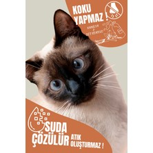 Tofu Kedi Kumu | Doğal, Topaklanan, Tozsuz, Süt Kokulu | 5 Lt / 2 kg | Pati Premium