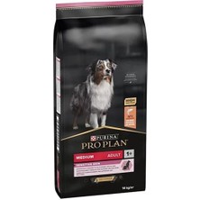 Pro Plan Adult Somonlu Yetişkin Köpek Maması 16.5 kg
