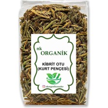 Nk Organik Kibrit Otu (Kurt Pençesi) 100GR