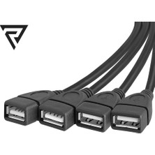 Radion CA-4599 4 Port USB 2.0 Hub Çoklayıcı