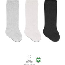 Bistyle Derby Dizaltı Çorap 3'lü BS40101 Ekru Gri Siyah