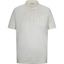 Sarı Regular Fit 100% Pamuk Polo Yaka Merserize Tişört