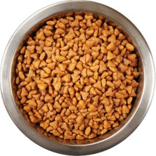 Katzoo Tavuklu Yavru Kedi Maması