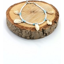 Deniz Kabuğu Lüks Hal Hal