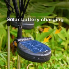 Güneş Enerjili  8 Ledli   Dekoratif Solar Bahçe Lambası 2'li Paket  Rgb Çok Renkli