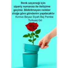 Gizli Bölmeli Saksı/para Altın  Saklama Kasası