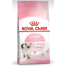 Kedi Başlangıç Seti Yüksek Kaliteli Taşıma Çantası Tuvalet Tırmalama Mama Vitamin Tarak 25 Parça