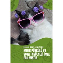 Tofu Kedi Kumu | Doğal, Topaklanan, Tozsuz, Süt Kokulu | 10 Lt / 4 kg / 2 Paket  | Pati Premium