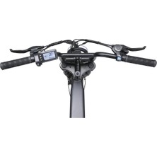 Ape Ryder Colobus Premıum Elektrikli Bisiklet - 750W