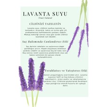 Lavanta Suyu %100 Doğal ve Saf Canlandırıcı ve Besleyici Etkili Lavanta Hidrosolü 100 ml
