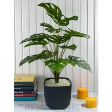Yapay Ağaç Monstera Deve Tabanı Bitkisi 18 Yaprak 75 cm Plastik Saksıda Yapay Salon Çiçeği Hediyelik