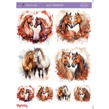 Sulu Transfer LNT243