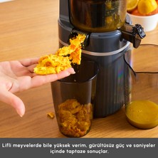 Karaca Fresh Press Slow Juicer Yavaş Sıkım Katı Meyve Sıkacağı Antrasit