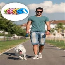 Elektron Pazar Otomatik Uzayan Köpek Tasması