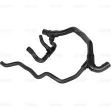 RAPRO-12323 - Radyator Alt Hortumu ( Renault Kangoo Iı 1.9d F8Q FC0J Ac )