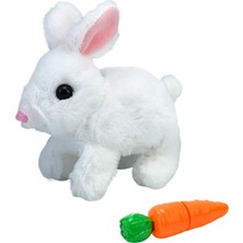 Zhiduojin2 Tenghuishiye Simülasyon Elektrikli Peluş Tavşan Zıplayan Kıpır Kıpır Tavşan Peluş Oyuncak (Yurt Dışından)