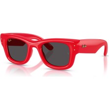 Ray-Ban RB4940 683187 47 A$ap Rocky Unisex Güneş Gözlüğü