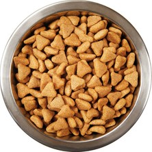 Katzoo Kuzu Etli & Pirinçli Yetişkin Köpek Maması