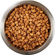 Katzoo Kuzu Etli & Pirinçli Yavru Köpek Maması