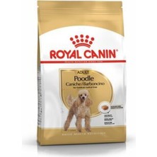 Royal Canin Poodle Adult Yetişkin Köpek Maması 3 kg