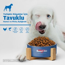 Adult Dog Tavuklu ve Balıklı Yetişkin Köpek Maması, 100 gr x 5 Adet, Tüm Irklar Için, Doğal, Şeker Içermez