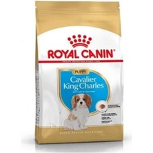 Royal Canin Cavalier King Charles Junior Yavru Köpek Maması 1,5 kg