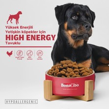 Adult Dog Yüksek Enerjili  Yetişkin Köpek Maması, 100 gr x 5 Adet, Tüm Irklar Için, Doğal, Şekersiz