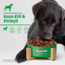 Adult Dog Kuzulu ve Pirinçli Yetişkin Köpek Maması, 100 gr x 5 Adet, Tüm Irklar Için, Doğal, Şeker Içermez